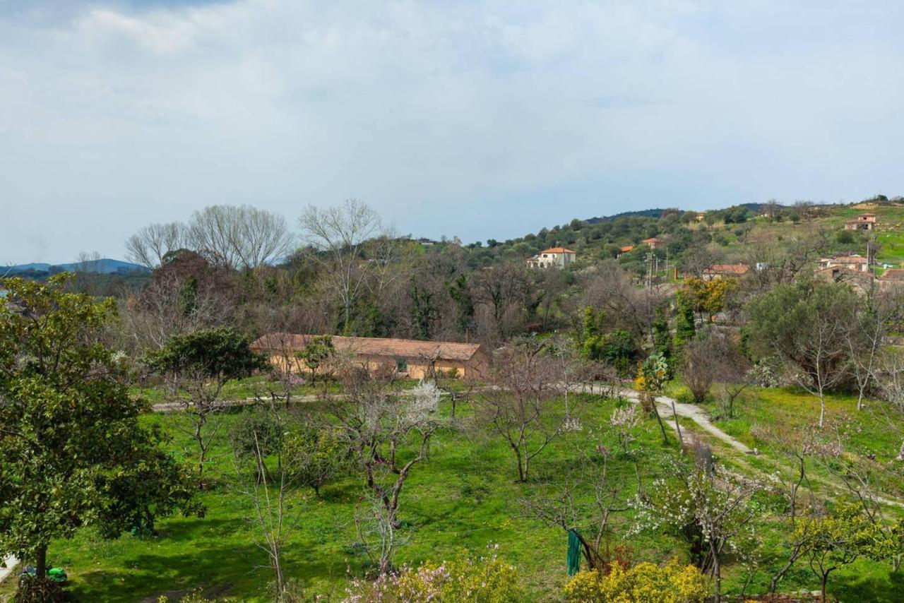 Spacious Apartment In Ceraso With Mountain View Eksteriør bilde